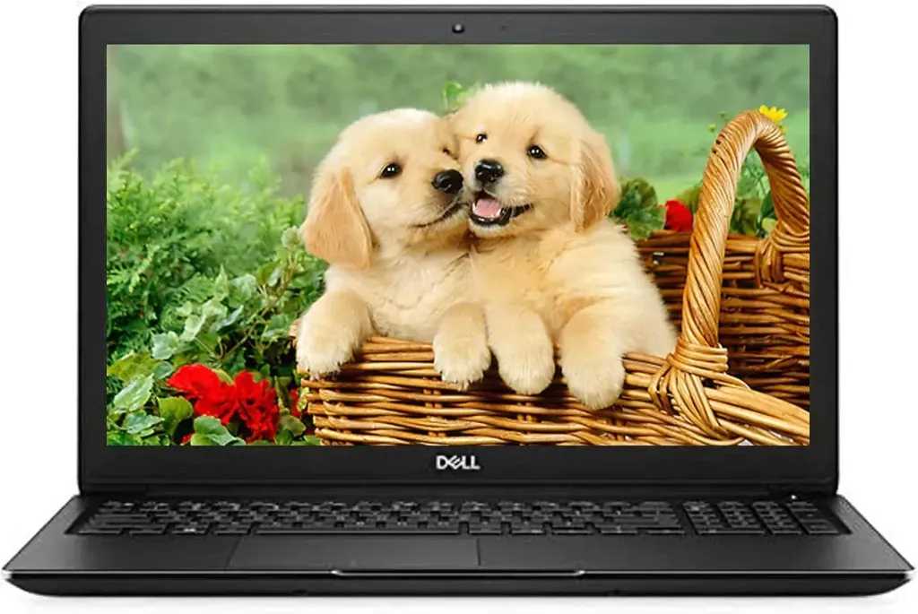 DELL LATITUDE 3500 (i5-8Th) 8GO 256GO  (8 Go)