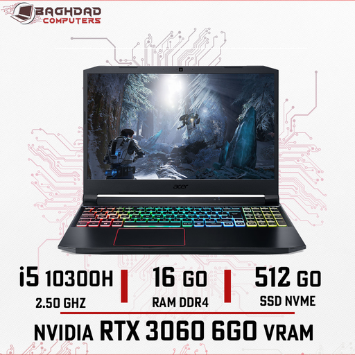 Acer Nitro 5 AN515-55 i5-10th 16Go 512Go RTX3060